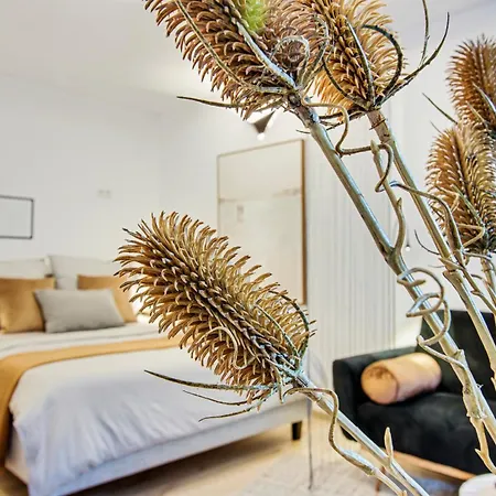Valley Apartment Wuppertal